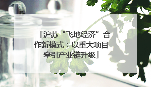 沪苏“飞地经济”合作新模式：以重大项目牵引产业链升级