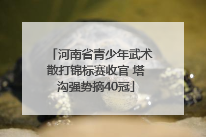 河南省青少年武术散打锦标赛收官 塔沟强势摘40冠