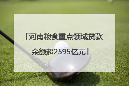 河南粮食重点领域贷款余额超2595亿元