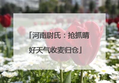 河南尉氏：抢抓晴好天气收麦归仓
