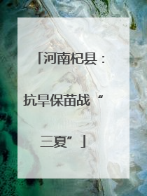 河南杞县：抗旱保苗战“三夏”