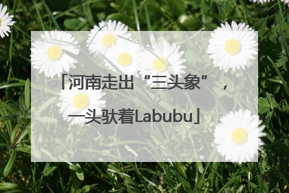 河南走出“三头象”，一头驮着Labubu