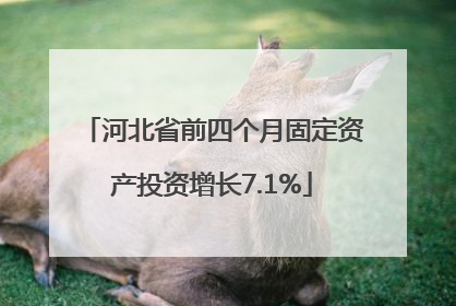 河北省前四个月固定资产投资增长7.1%