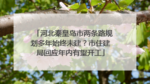 河北秦皇岛市两条路规划多年始终未建？市住建局回应年内有望开工