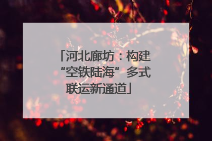 河北廊坊：构建“空铁陆海”多式联运新通道