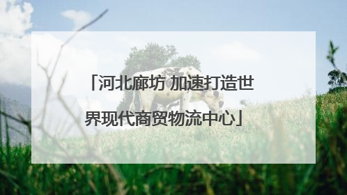 河北廊坊 加速打造世界现代商贸物流中心