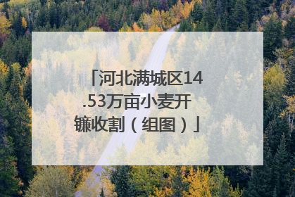 河北满城区14.53万亩小麦开镰收割（组图）