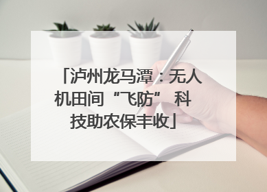 泸州龙马潭：无人机田间“飞防” 科技助农保丰收
