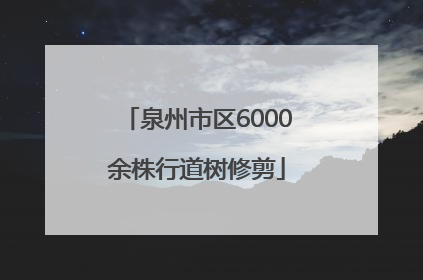 泉州市区6000余株行道树修剪