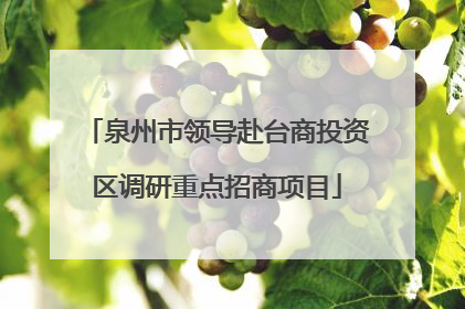 泉州市领导赴台商投资区调研重点招商项目