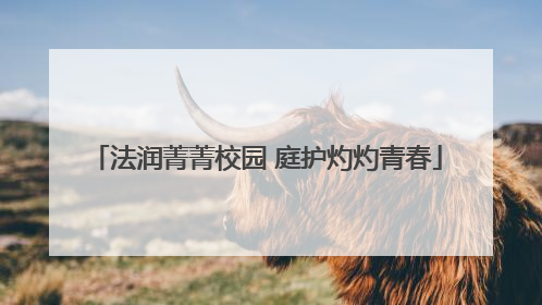 法润菁菁校园 庭护灼灼青春