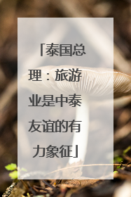 泰国总理：旅游业是中泰友谊的有力象征