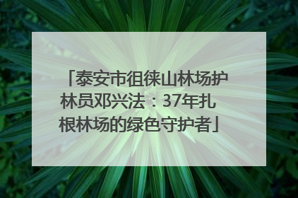 泰安市徂徕山林场护林员邓兴法：37年扎根林场的绿色守护者