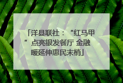 洋县联社：“红马甲”点亮银发餐厅 金融暖延伸惠民末梢