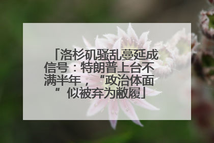 洛杉矶骚乱蔓延成信号：特朗普上台不满半年，“政治体面”似被弃为敝履