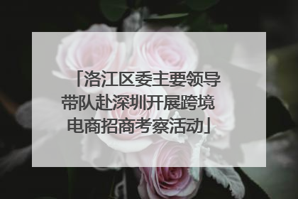洛江区委主要领导带队赴深圳开展跨境电商招商考察活动