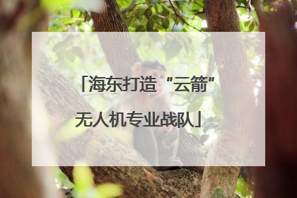 海东打造“云箭”无人机专业战队