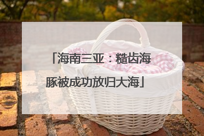 海南三亚：糙齿海豚被成功放归大海