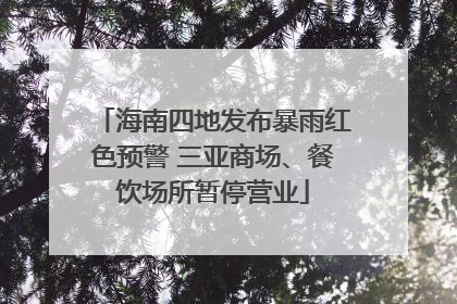 海南四地发布暴雨红色预警 三亚商场、餐饮场所暂停营业