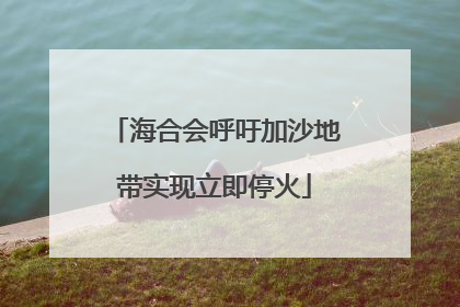 海合会呼吁加沙地带实现立即停火
