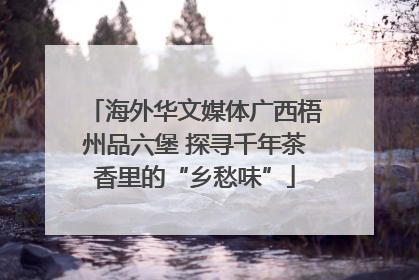 海外华文媒体广西梧州品六堡 探寻千年茶香里的“乡愁味”