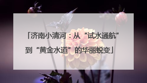 济南小清河：从“试水通航”到“黄金水道”的华丽蜕变