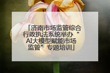 济南市场监管综合行政执法系统举办“AI大模型赋能市场监管”专题培训