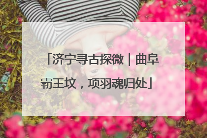 济宁寻古探微｜曲阜霸王坟，项羽魂归处