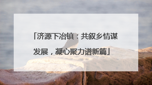 济源下冶镇：共叙乡情谋发展，凝心聚力谱新篇