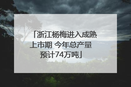 浙江杨梅进入成熟上市期 今年总产量预计74万吨