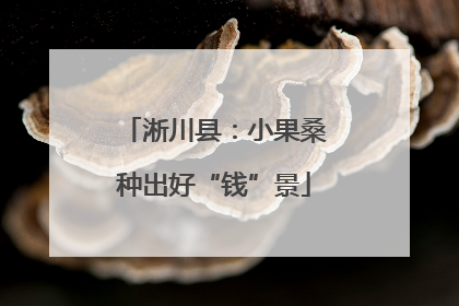 淅川县：小果桑种出好“钱”景