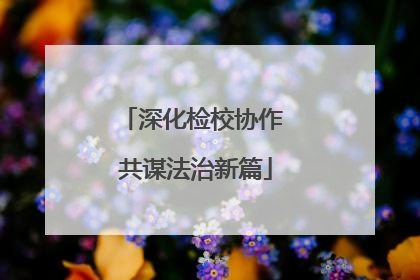 深化检校协作 共谋法治新篇