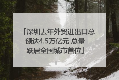 深圳去年外贸进出口总额达4.5万亿元 总量跃居全国城市首位