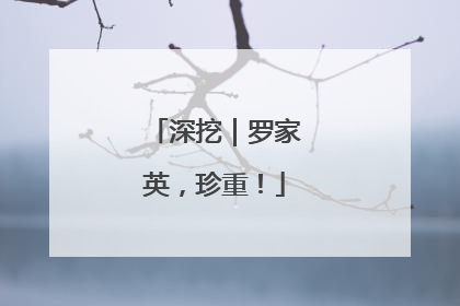 深挖｜罗家英，珍重！