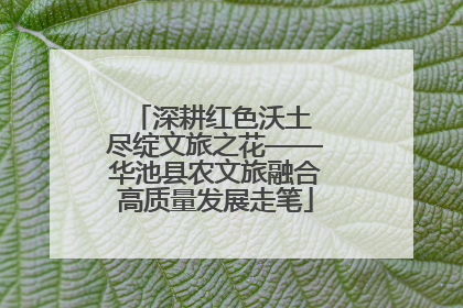 深耕红色沃土 尽绽文旅之花——华池县农文旅融合高质量发展走笔