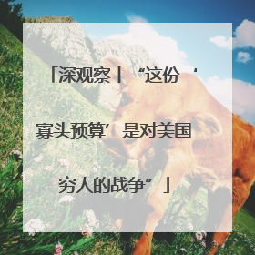 深观察丨“这份‘寡头预算’是对美国穷人的战争”