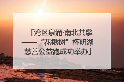 湾区泉涌·南北共擎——“花楸树”杯明湖慈善公益跑成功举办