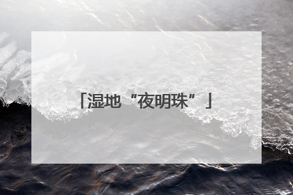 湿地“夜明珠”