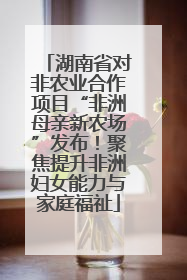 湖南省对非农业合作项目“非洲母亲新农场”发布！聚焦提升非洲妇女能力与家庭福祉