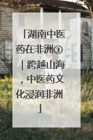 湖南中医药在非洲③｜跨越山海，中医药文化浸润非洲