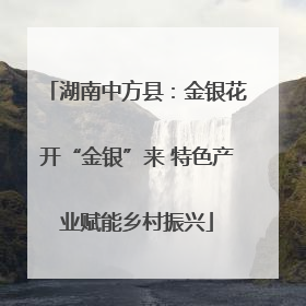 湖南中方县：金银花开“金银”来 特色产业赋能乡村振兴