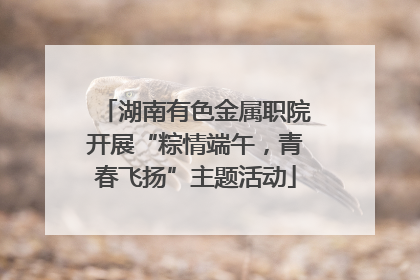 湖南有色金属职院开展“粽情端午，青春飞扬”主题活动