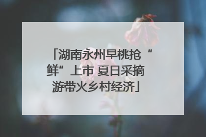 湖南永州早桃抢“鲜”上市 夏日采摘游带火乡村经济