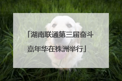 湖南联通第三届奋斗嘉年华在株洲举行