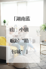 湖南蓝山：小镇崛起“箱包城”