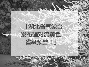 湖北省气象台发布强对流黄色省级预警！