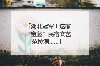 湖北冠军！这家“宝藏”民宿文艺范拉满……