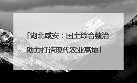 湖北咸安：国土综合整治助力打造现代农业高地