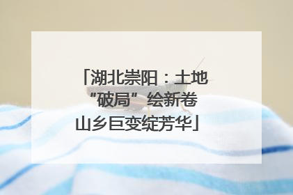 湖北崇阳：土地“破局”绘新卷 山乡巨变绽芳华