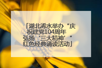 湖北浠水举办“庆祝建党104周年 弘扬‘三大精神’”红色经典诵读活动